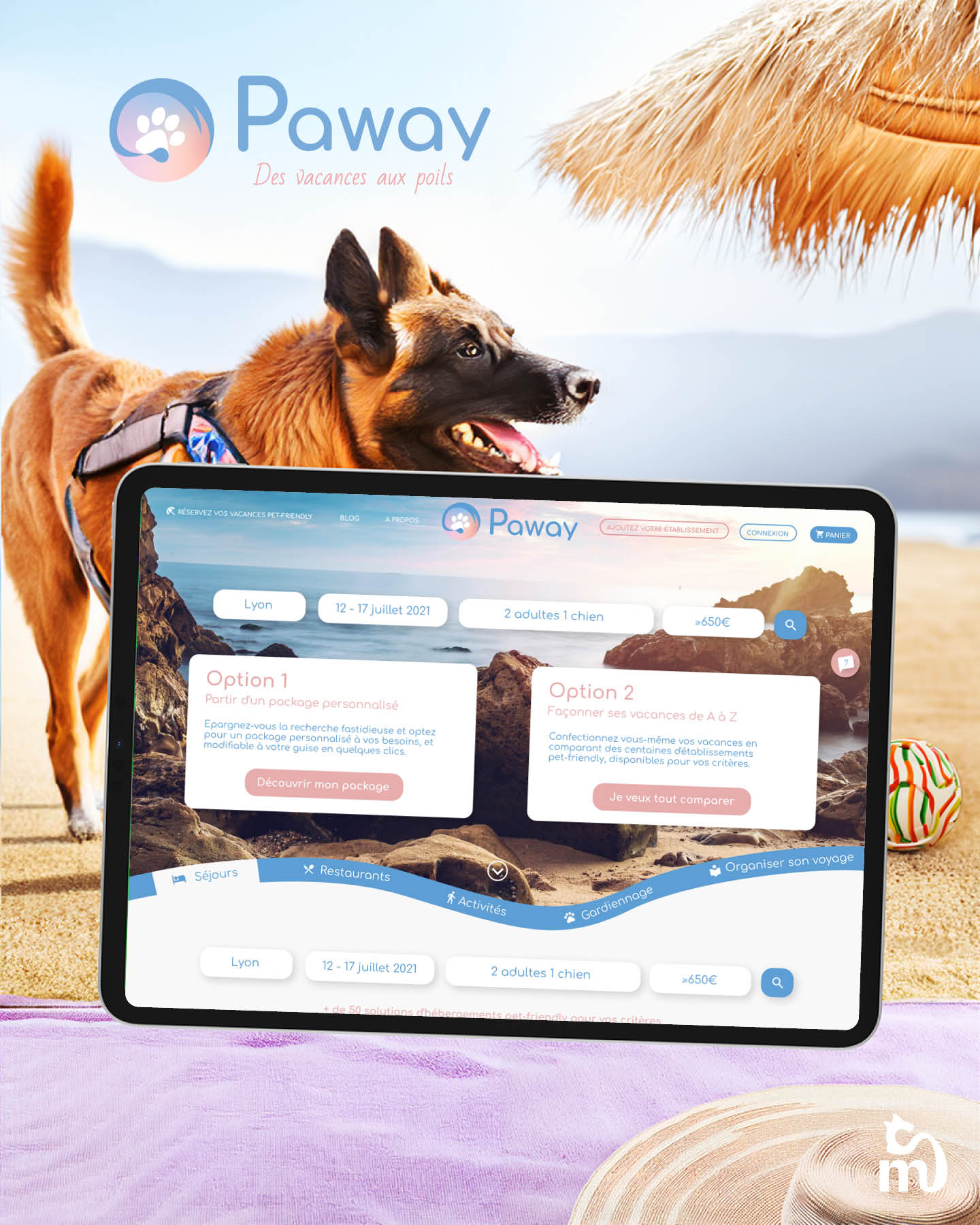 images-projet-paway-webdesign