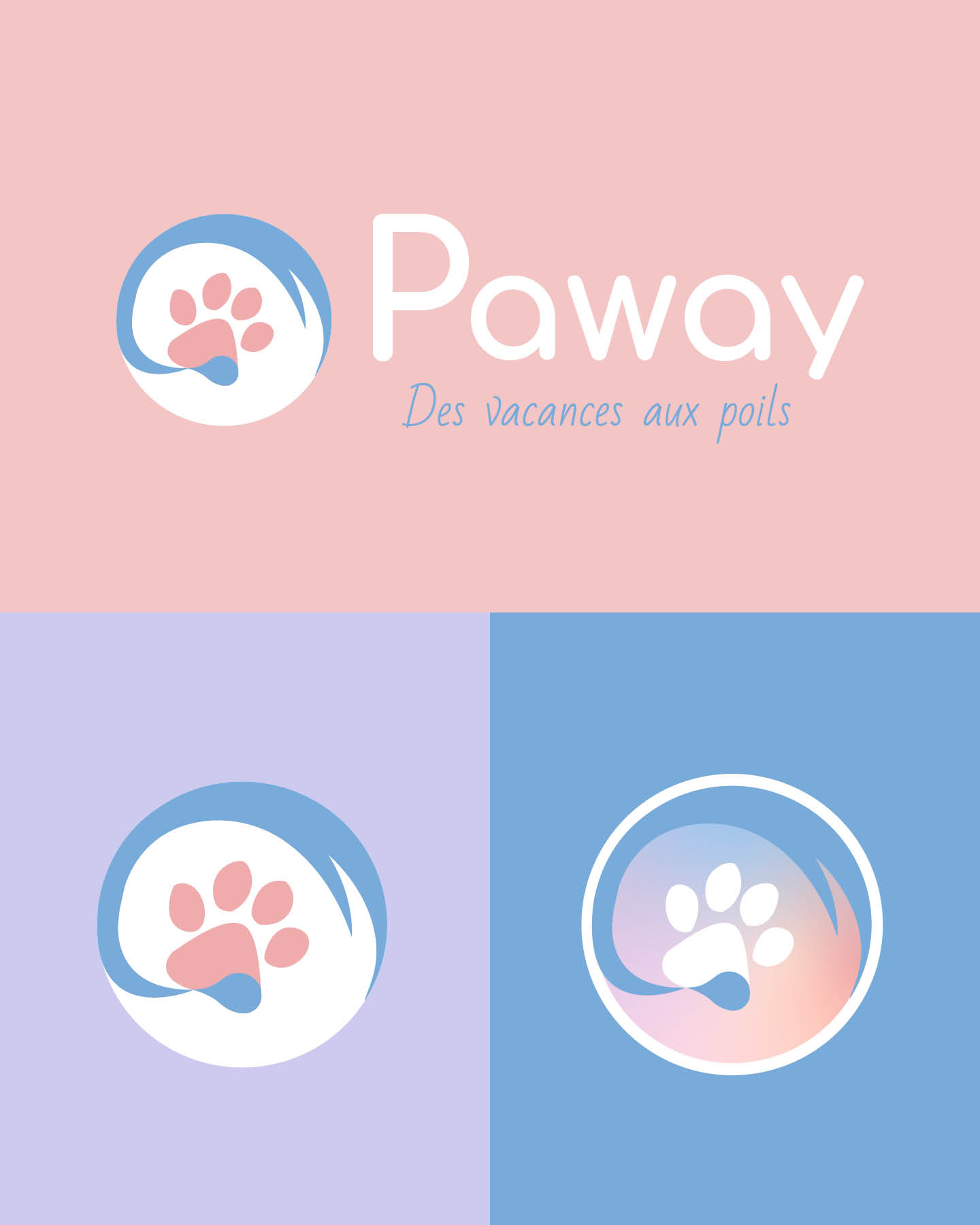 images-projet-paway2