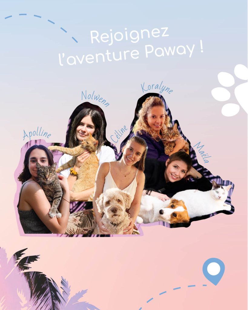 images projet paway3