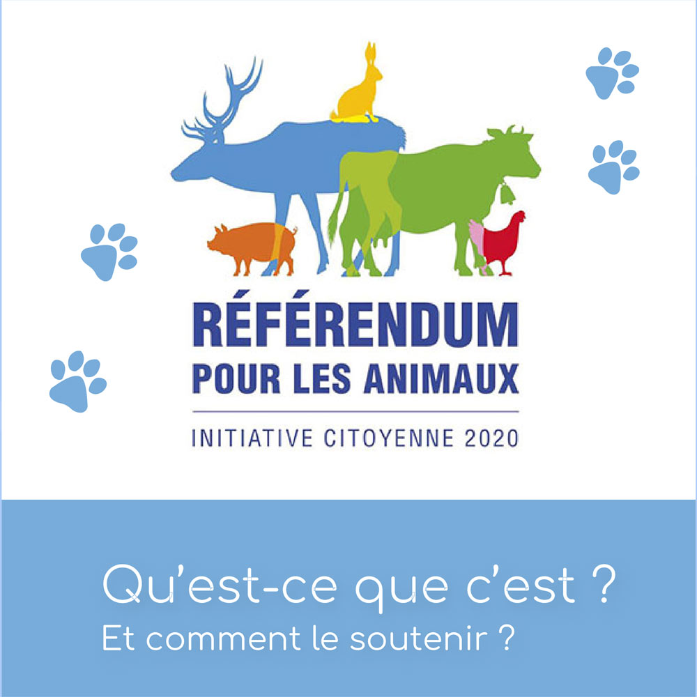 post referendum